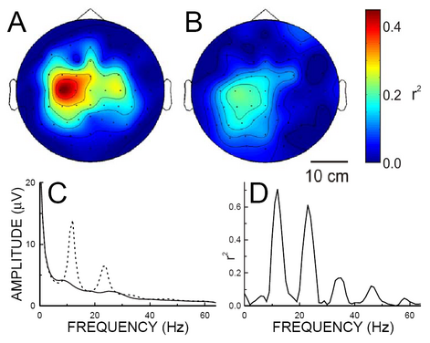MuRhythmModulation.PNG