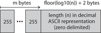 Detailed layout of a length field(m) when encoding a length 
