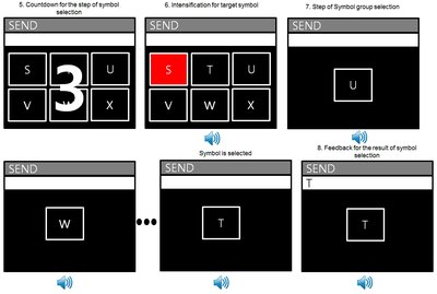 Region-speller with BCI 2000_paradigm_2.jpg