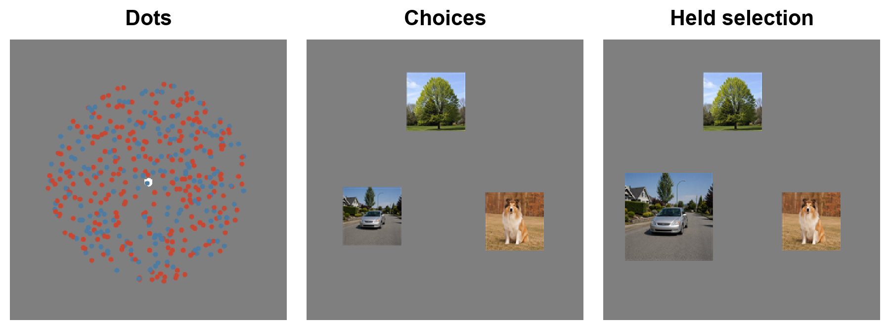 Three equal central crops from the same trial: a red-majority dot cloud, three category choices, and an enlarged car image while the left response is held.